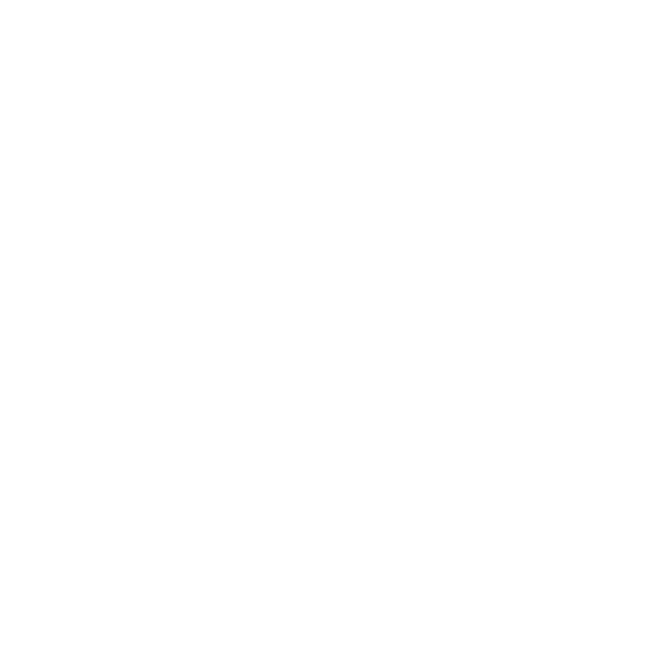 Sr Wok